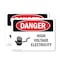 Signmission High Voltage Electricity Danger Sign, Plastic, 10in W x 7in L, 2PK OS-2PACK-DS-P-710-L-1330 - alternate 1